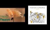 Gotcha The Cockatoo in Don't Stop / Foster The People