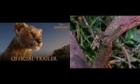 Lion Man by Werner Herzog