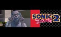 Drunk Sonic The Liquor