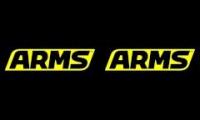 ARMS Main Theme (with ribbon girl)