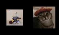 Thumbnail of Cat cat cat with guitar guitar guitar