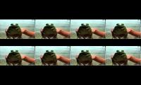 The Frog goes REEEEEEEEEEEEEE