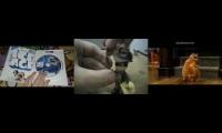 Random video Comparison