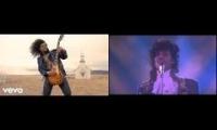 Pruple November rain