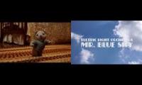 Bear but it's mr. blue sky