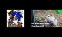 sanic fast!!!!!!!!!!!!!!!!!!!!!!