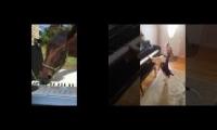 Piano Dog and Horse Duet