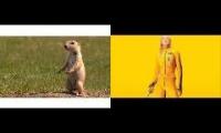 Kill Prarie Dog 9999