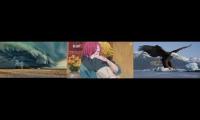 Sleepy Aerie Peak Mix