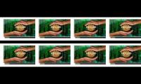 Healing Code for PTSD 4x (1,3,5,7) and Healing Code for fear based mentalities 4x (2,4,6,8)