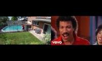 Squirrel Attack Lionel Richie