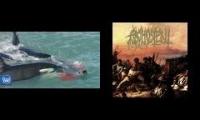 orcas and metal 666 69