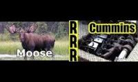 I ride moose I am cummins