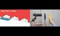 Bongo cat sings Havana (Feat: Rubber Chicken)