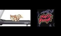 Furret Walks Around The World on A Treadmill