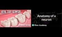 GET HEALTHY GUMS FAST! PREVENT & ELIMINATE GINGIVITIS, PERIODONTITIS, MUCH MORE! FREQUENCY WIZARD