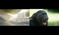 Eden1 Savage Pubs in a nutshell
