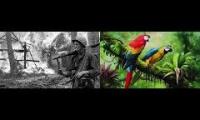 Thumbnail of Ambiance-Travail-ASMR