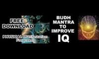 Iq mantra removal subliminal