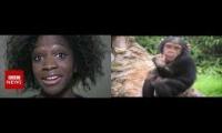 The Best Mashup Ever