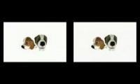 To The Sky (ENG and JP Mix) [Theme of THE DOG Island]