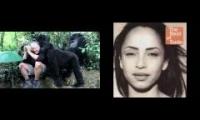 The gorilla touch the man and sade does a sing song
