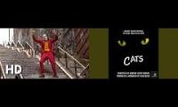 Joker Dancing To Cats