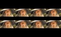 Gandalf :DDDDDDDDDDDDDDDDDDDD