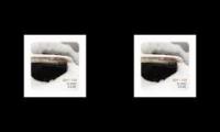 Bon Iver - The Woods
