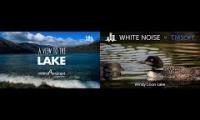 Loon lake mashup of sounds
