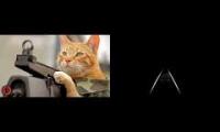 Mind Heist Medal of Honor Cat Percect Sync