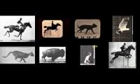 Eadweard Muybridge Movies