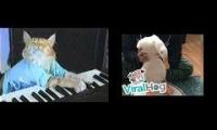 Drumming Ducks and Keyboard Cat