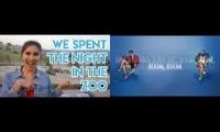 Safari Zoo Sleepover Video