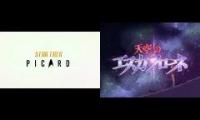 Escaflowne vs Picard