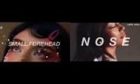 Ivy Audio Forehead and Nose