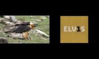 vulture bone drop little less conversation