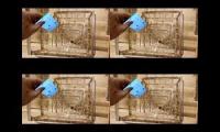 Up To Faster 4 Parison To TechRax