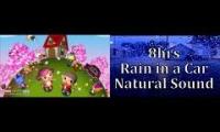 animal crossing wild world rain cab ride