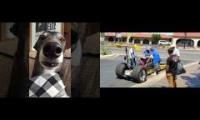 Idling Greyhound Mashup