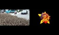 Duck army marching agains locusts