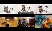 Cats and The YouTube Multipiler