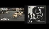 Goat Town (Our National Anthem)