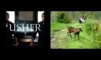 Thumbnail of PostSecJams Usher + Goat