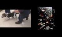 Tie fighter dog with music