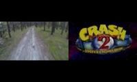 Crash Bandicoot Bear Chase