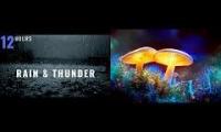Thumbnail of Rainy msshup frequency