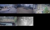 Melbourne Zoo Live Cameras