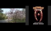 Oblivion town exploration