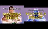 Internet Comment Etiquette: Mandela Effect